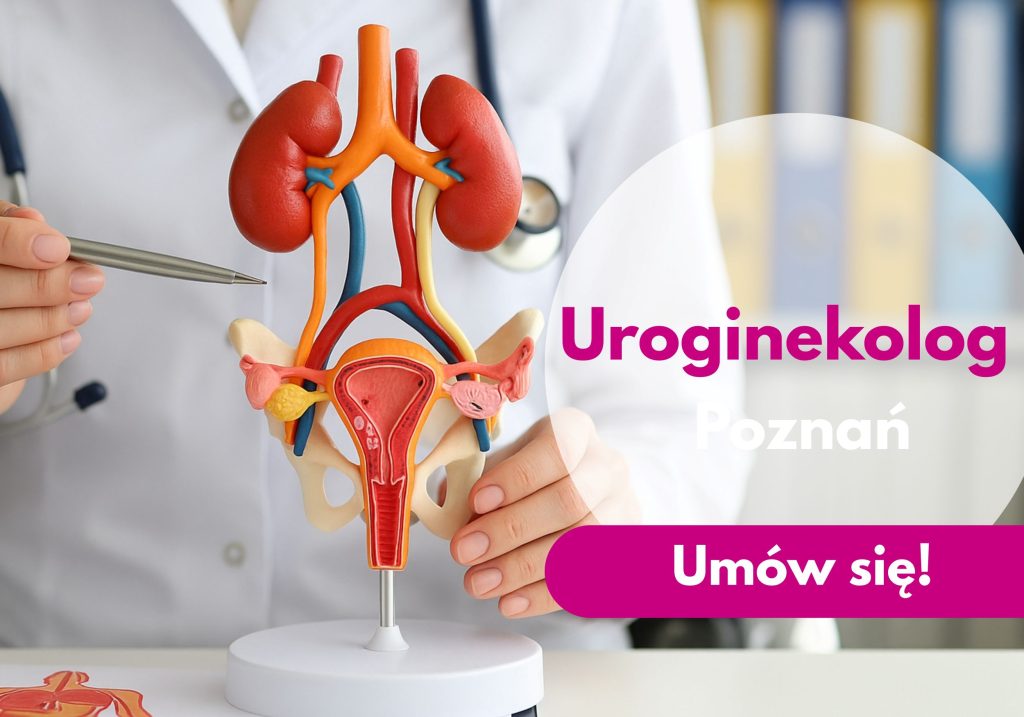 Uroginekolog ze stetoskopem na szyiu wskazuje na model układu moczowego i płciowego kobiety podczas konsultacji w Centrum Medycznym neoMedica w Poznaniu.