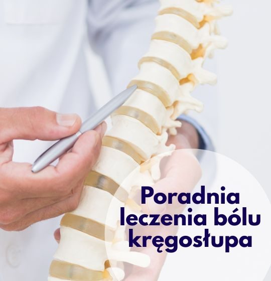 Lekarz wskazujący na model kęgosłupa - ilustracja dotycząca Poradni leczenia bólu kręgosłupa w Centrum Medycznym neoMedica w Poznaniu.