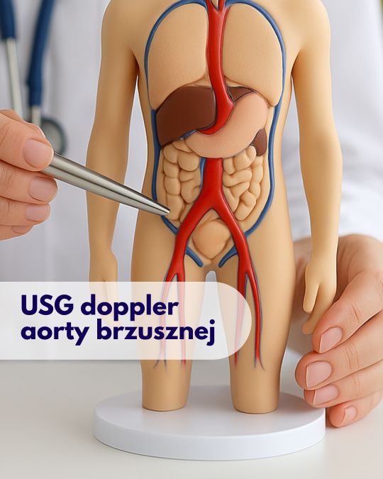 Lekarz z stetoskopem na szyi przykłada głowice USG do modelu aorty brzusznej w ciele człowieka podczas wizyty w Centrum Medycznym neoMedica w Poznaniu.