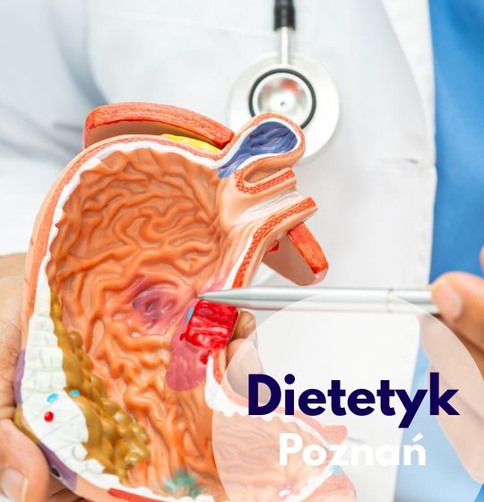 Dietetyk ze stetoskopem na szyi wskazuje na model przekroju żołądka - ilustracja dotycząca wizyty u dietetyka w Centrum Medycznym neoMedica w Poznaniu.