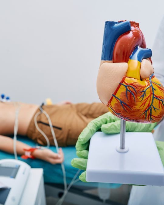 Lekarz w rękawiczkach lekarskich trzymający model narządu serca, a w tle zamazany chłopiec podczas badania EKG w Centrum Medycznym neoMedica w Poznaniu.