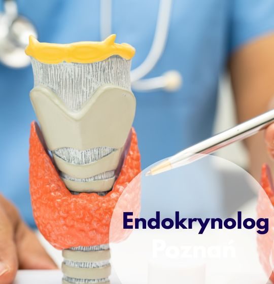 Endokrynolog Centrum Medycznego neoMedica w Poznaniu ze stetoskopem na szyi wskazuje na model narządu tarczycy.