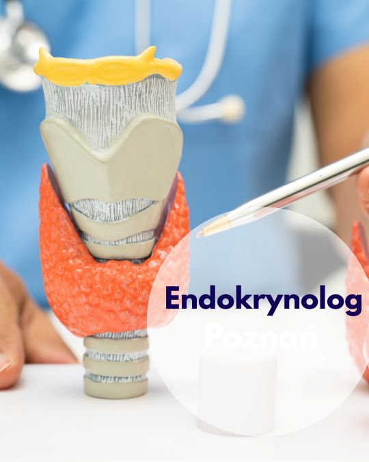 Endokrynolog Centrum Medycznego neoMedica w Poznaniu ze stetoskopem na szyi wskazuje na model narządu tarczycy.