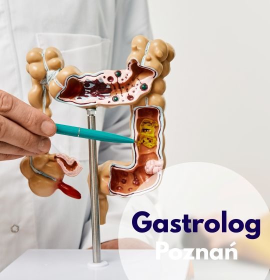 Gastrolog Centrum Medycznego neoMedica w Poznaniu wskazuje na model jelit, a w tle jest zamazana sylwetka leżacej kobiety.