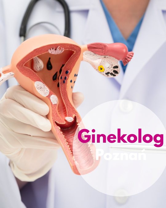 Ginekolog Centrum Medycznego neoMedica w Poznaniu w rękawiczkach lekarskich wskazujący na model macicy.