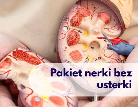 Kobieta trzymająca model narządu nerki – ilustracja dotycząca pakietu badań na nerki dostępnego w Centrum Medycznym neoMedica w Poznaniu.
