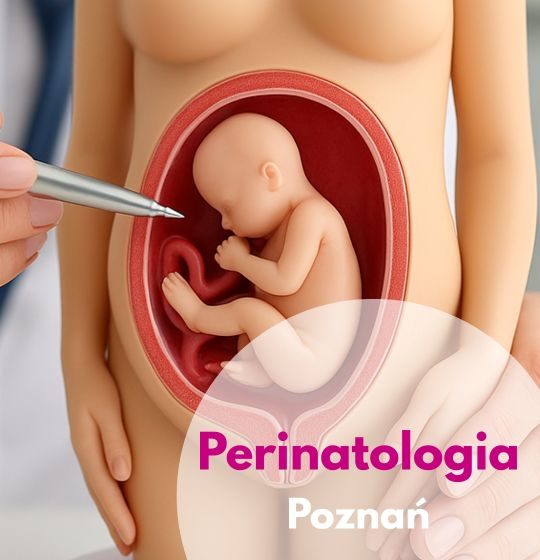 Perinatolog wskazujący na model sylwetki kobiety w ciąży - ilustracja dotycząca perinatologii w Centrum Medycznym neoMedica w Poznaniu.