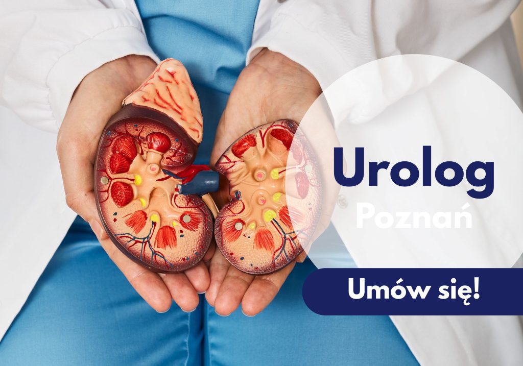 Lekarz urolog trzymający model przekroju nerki podczas wizyty w centrum Medycznym neoMedica w Poznaniu.