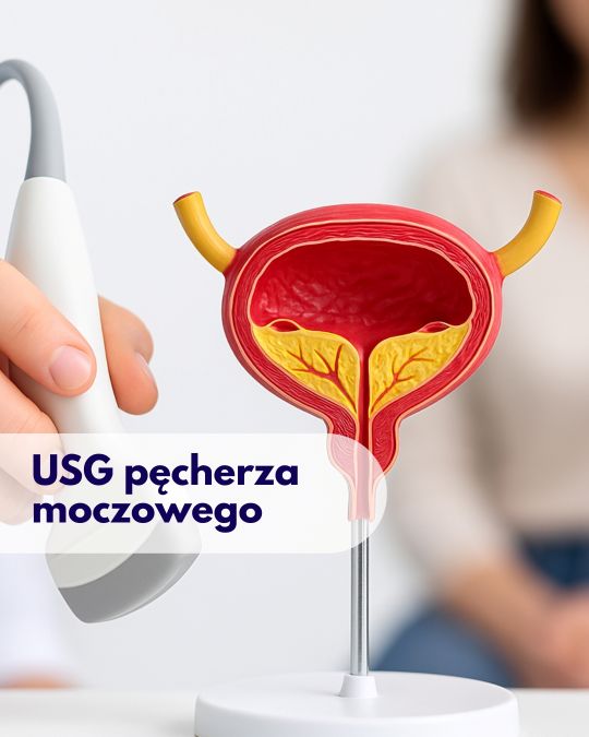 Głowica USG przykładana przez lekarza do modelu przedstawiającego pęcherz moczowy, w tle zamazana sylwetka kobiety podczas wizyty w Centrum Medycznym neoMedica w Poznaniu.