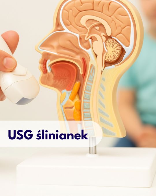 Głowica USG przykładana przez lekarza do modelu przedstawiającego głowę, wskazująca na ślinianki, w tle zamazana sylwetka mężczyzny podczas wizyty w Centrum Medycznym neoMedica w Poznaniu.