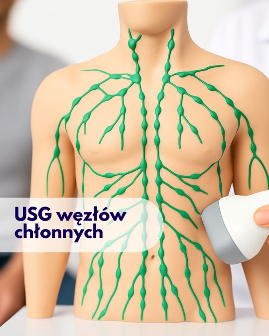 Głowica USG przykładana do figurki klatki piersiowej człowieka z zaznaczonym układem węzłów chłonnych, w tle zamazana sylwetka mężczyzny – ilustracja dotycząca badania USG węzłów chłonnych w Centrum Medycznym neoMedica w Poznaniu.
